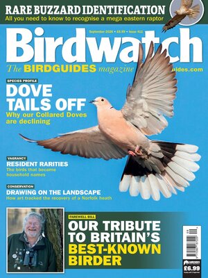 cover image of Birdwatch